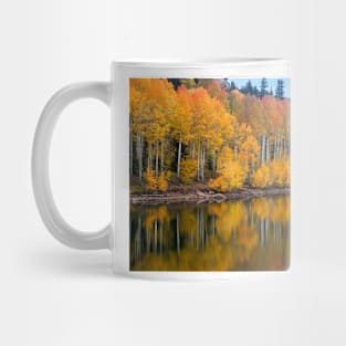 Aspen Reflection Mug